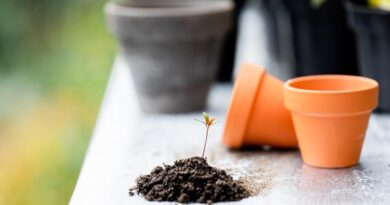 Domek na narzędzia castorama - praktyczne rozwiązanie dla twojego ogrodu